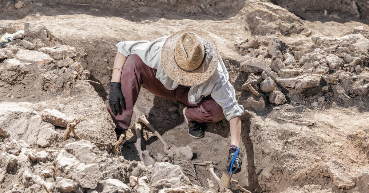 Archaeologist inspects skeleton