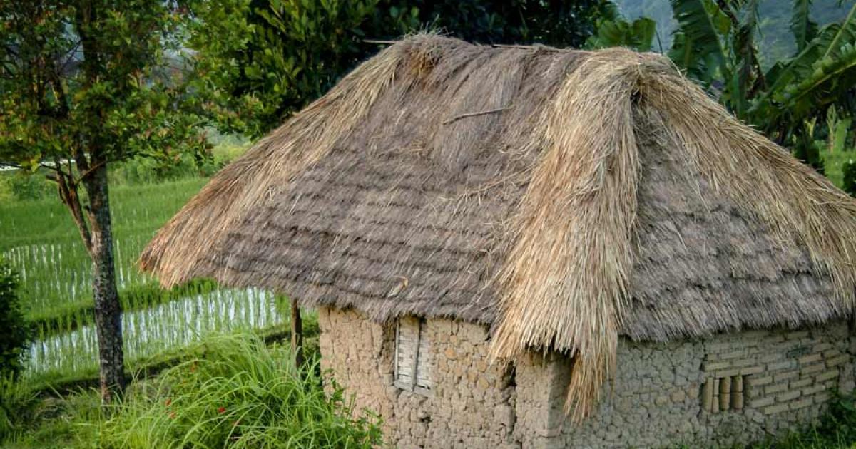 This mud and bamboo house in Bali, Indonesia, with rice paddies in the background, captures what the Chinese Baodun style of wattle and daub construction must have looked like based on the carbonized bamboo fragment recently unearthed at the archaeological site in Chengdu, China. Source: LoweStock / Adobe Stock