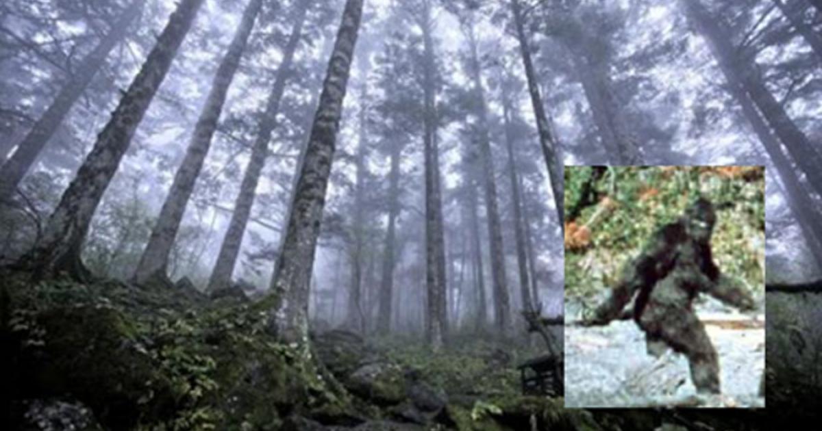 Scientists Who Believe in Bigfoot