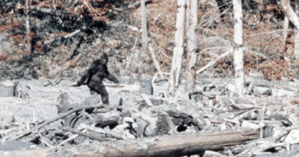 The famous Bigfoot sighting from “Patterson–Gimlin film frame 352” by Patterson-Gimlin film. 