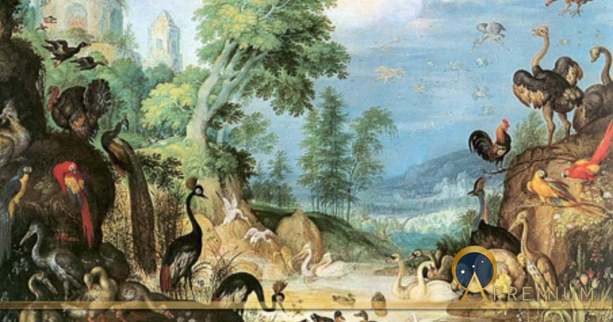The Sacred and Ancient Legacy of our Feathered Friends 