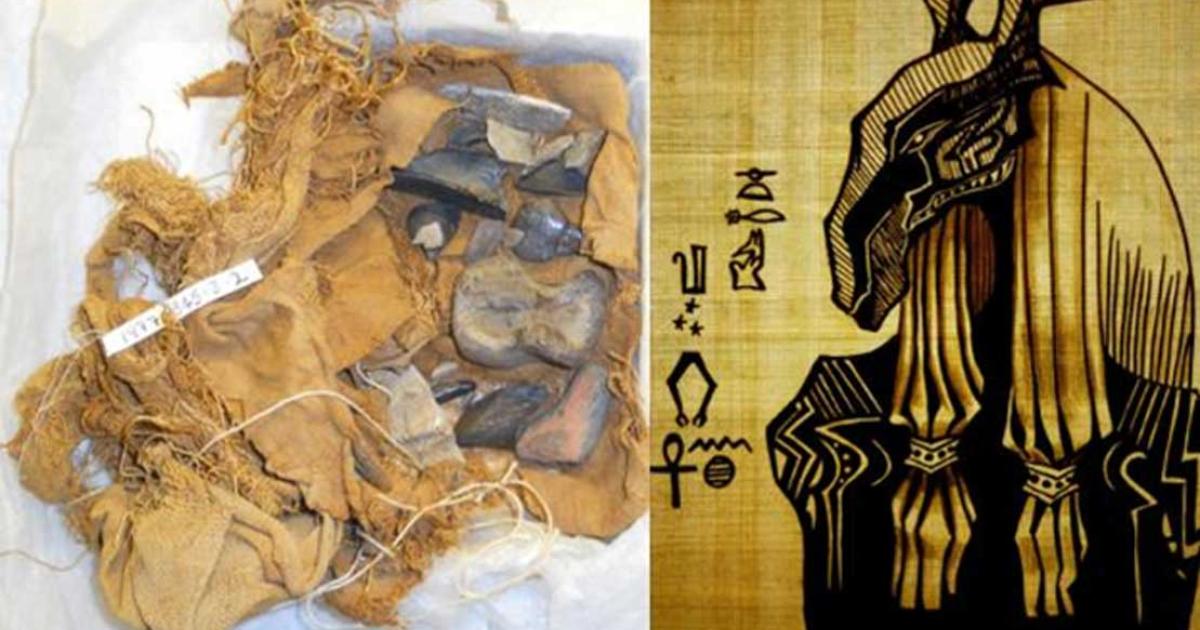 A linen bundle unwrapped many years ago, from Qau el-Kebir was found to contain fossil bones. 