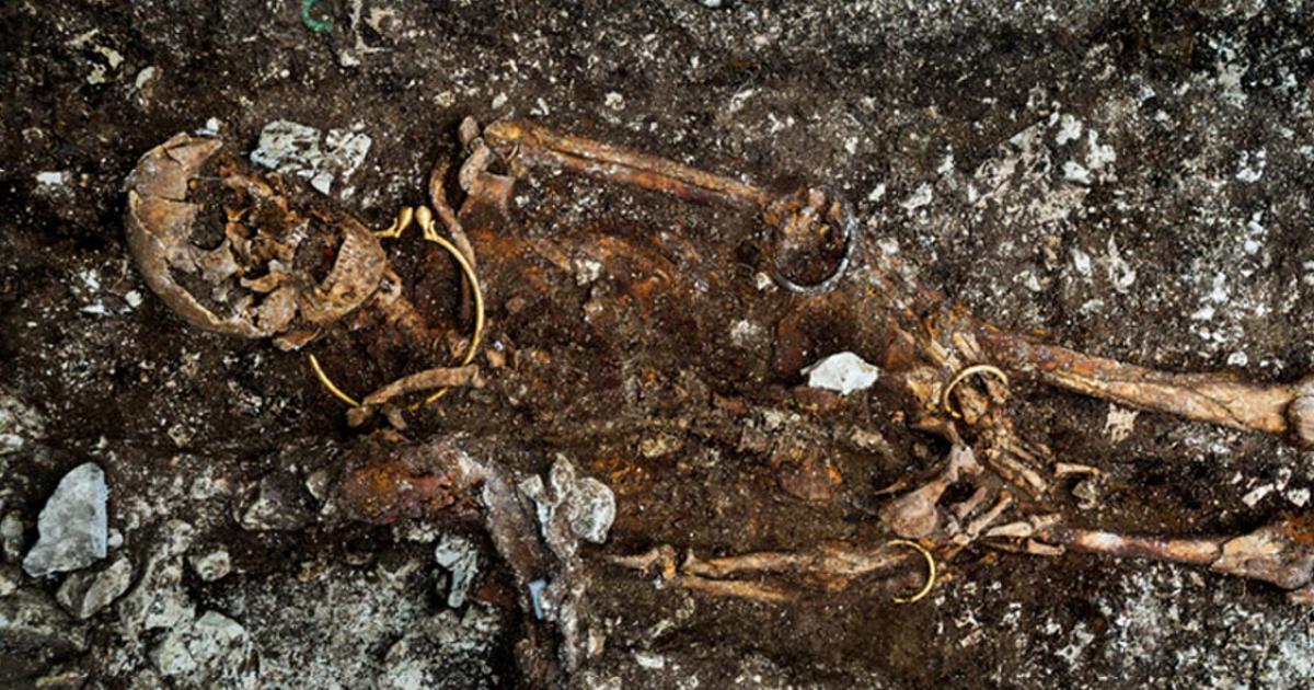 Remains of the body with the golden torc visible around the neck 