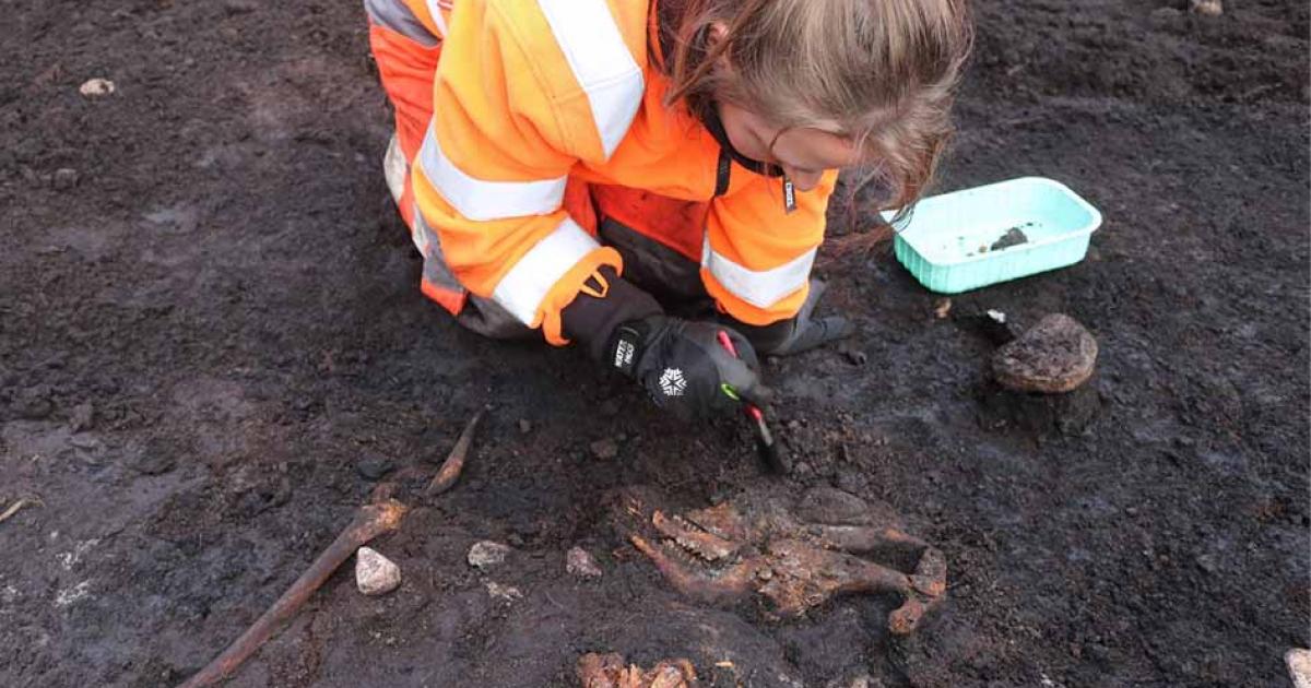 Archaeologist Lea Mohr Hansen cleans animal bones found together with the human skeleton.          Source: Christian Dedenroth-Schou/ ROMU