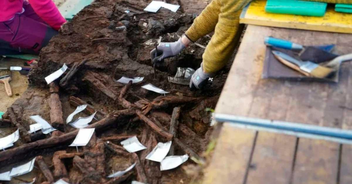 10,500-year-old cremated bog bones were found in northern Germany. Source: ALSH