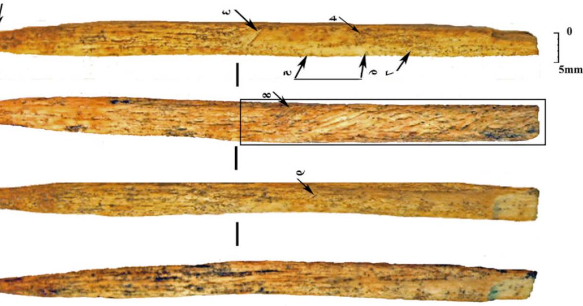 View of the bone spear point from four different sides.