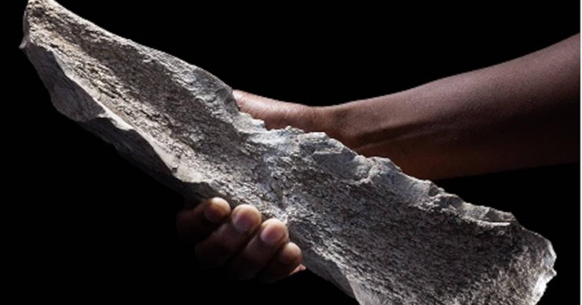 Tool made from an elephant’s humerus bone, found in Olduvai Gorge and dated to 1.5 million BC.