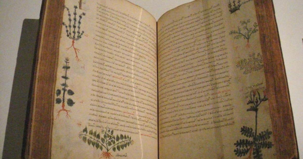 A five-volume treatise concerning medical matters, Dioscorides, De Materia Medica, Byzantium, 15th century.