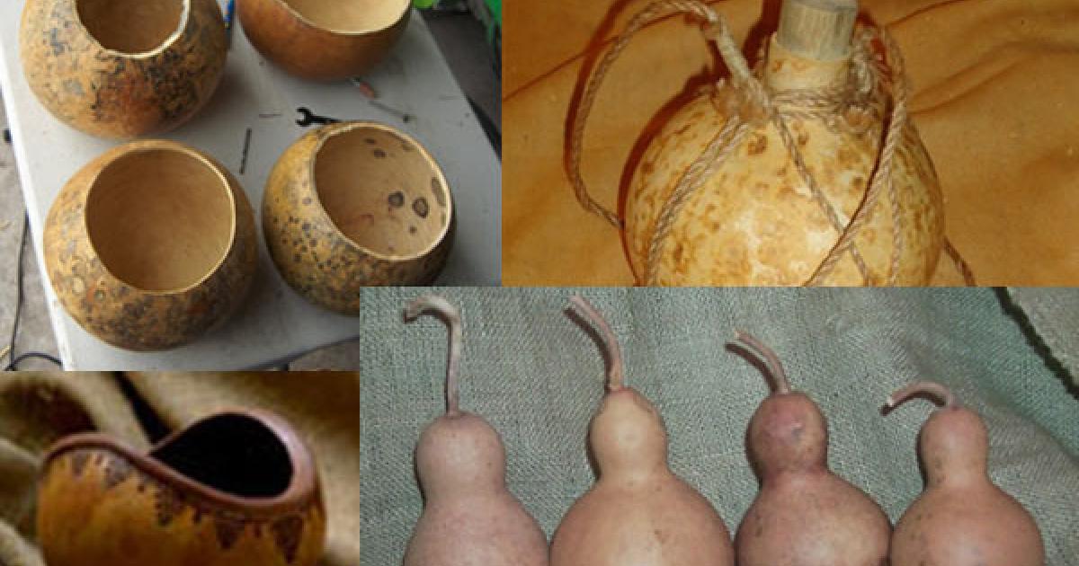 Bottle gourd