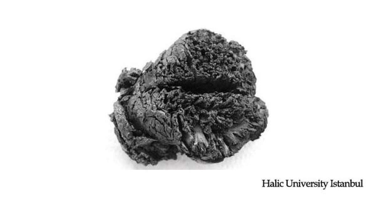 Bronze Age Brain - Boiled