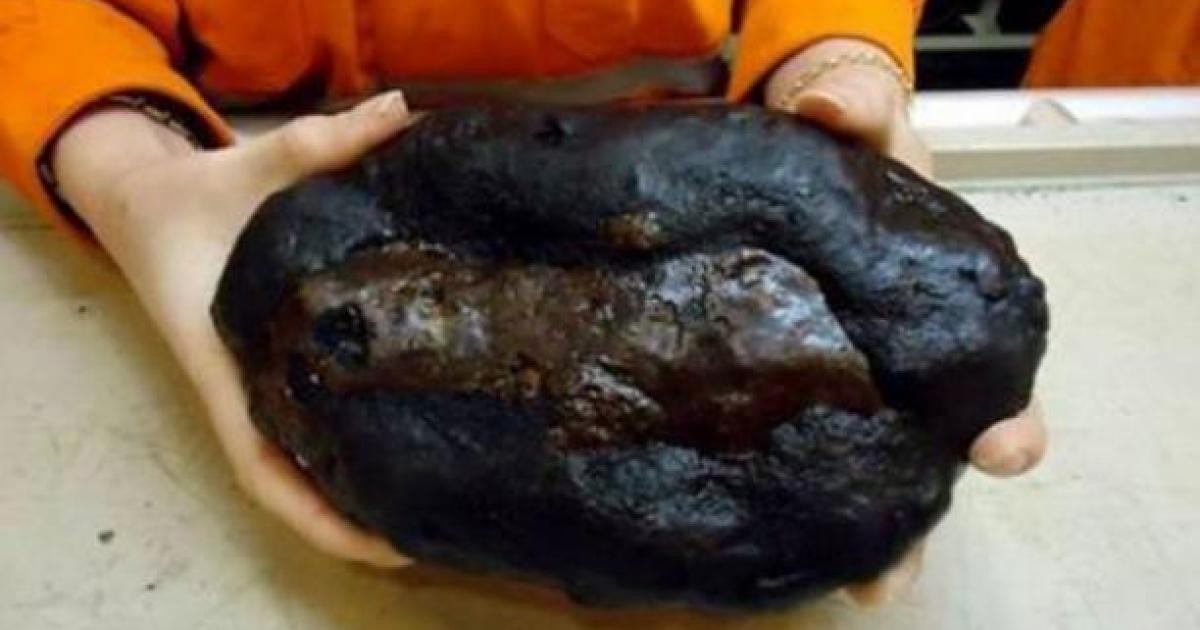 Brazilian Atlantis Seabed Rock