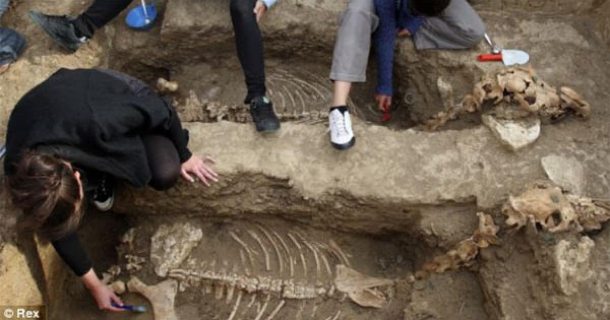 2,500-year-old chariot