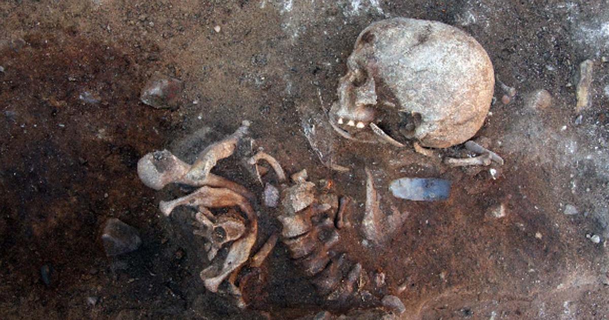 The ‘standing burial’ with mixed bones and parts of the spine in correct anatomical position. Two arm bones left of the spine show gnawing marks and are situated in different directions. The large truncated blade is typical for the late Mesolithic. 