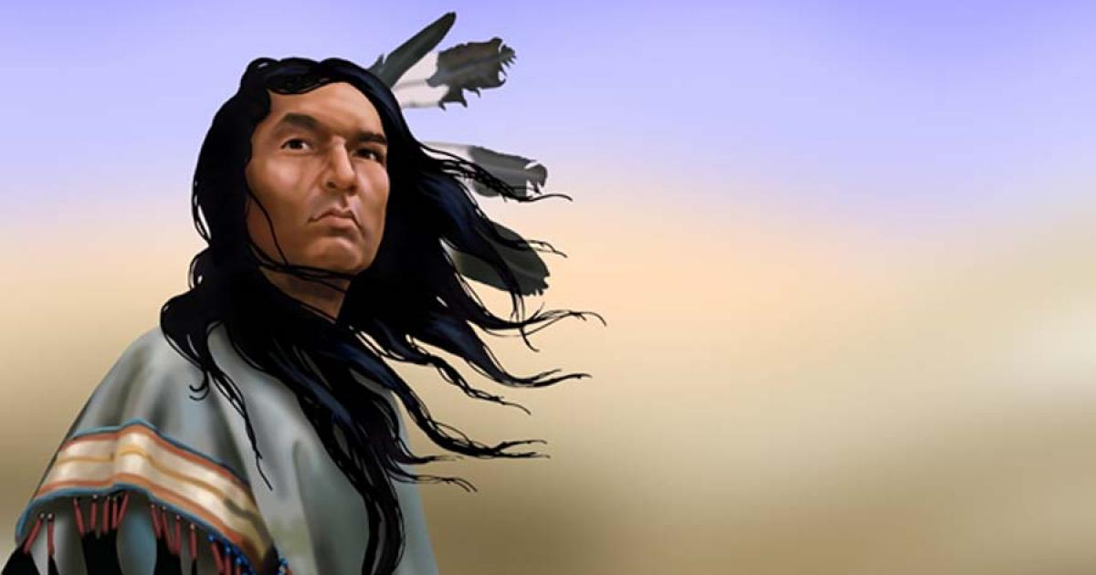 Can Hair Act as a Sixth Sense, Protecting us from Danger