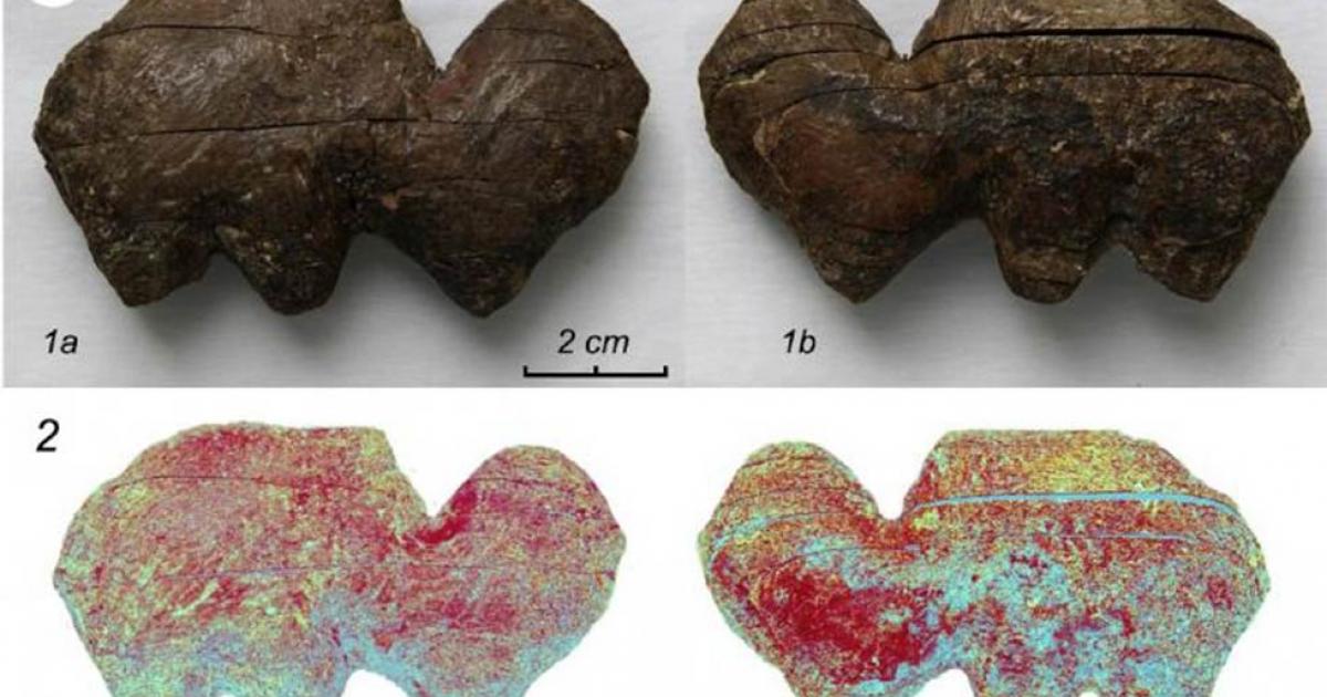 Pieces of the carved mammoth ivory from Siberia analyzed to determine production method. Source: Archaeological Research in Asia