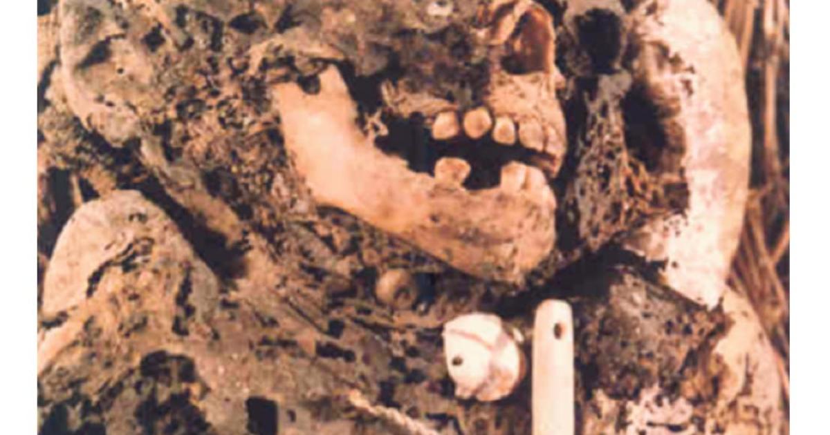 A child mummy with funerary items, from the Tres Ventanas cave in Peru