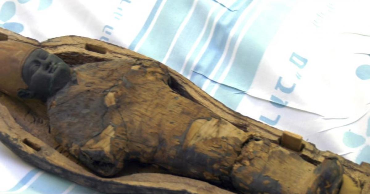 A child mummy discovered in an ancient Egyptian tomb was not human. 