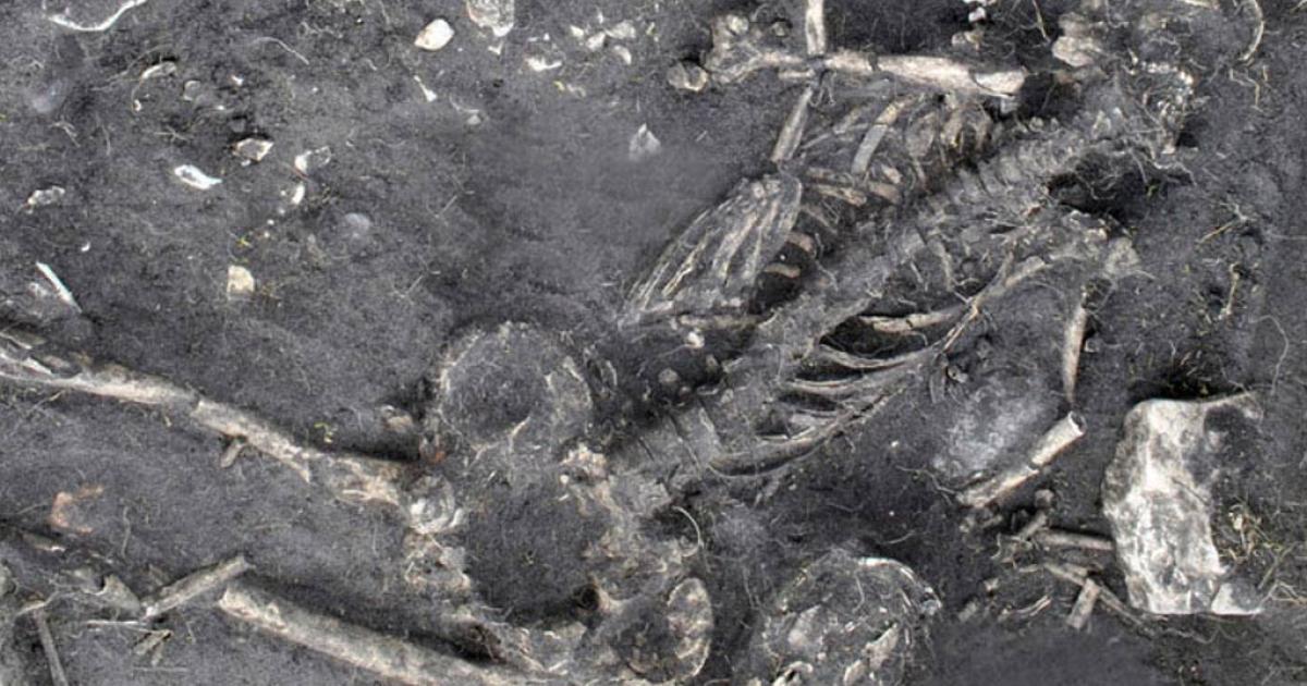 Child skeleton from 1,500-year-old crime mystery in Sweden 