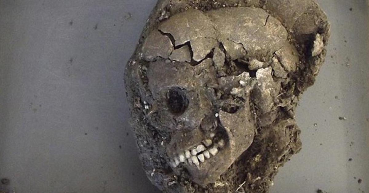 The child's skull after excavation; scientists hope to determine a lot about the person buried, such as diet, place of habitation, any diseases and cause and year of death.