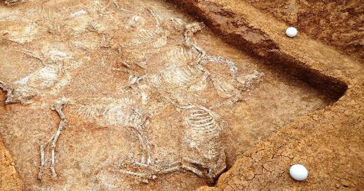 3,000 year old Chinese Tombs - sacrifice