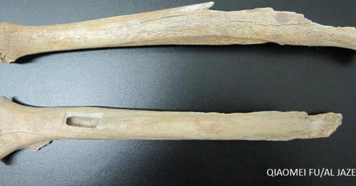 Evidence linking Ancient Chinese and Americans
