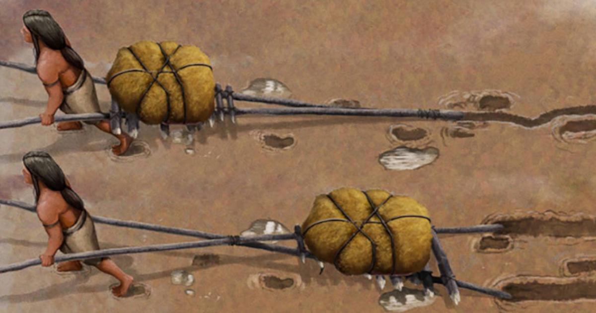 Ancient travois.  Study reveals oldest handcarts in New Mexico.