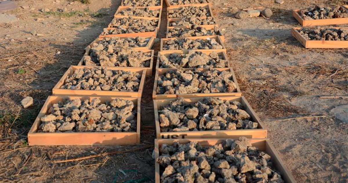 Copper slag excavated at Hala Sultan Tekke. Source: University of Gothenburg / CC BY 4.0