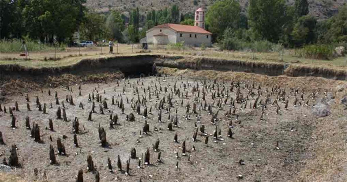 The pile field at the site of Dispilio. Almost 800 piles, mostly made of juniper and oak wood, were sampled and dendrochronologically measured.	Source: Dispilio Excavation Archive/Bern University