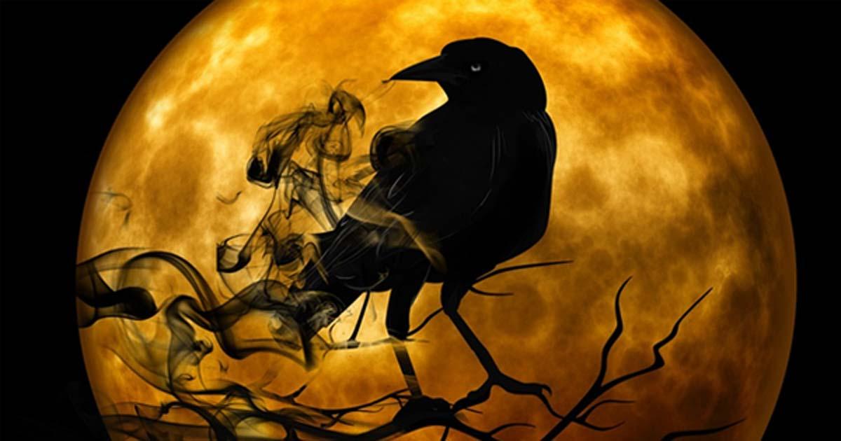 Ravens and Crows have been symbols and played a role in myth since ancient times. 
