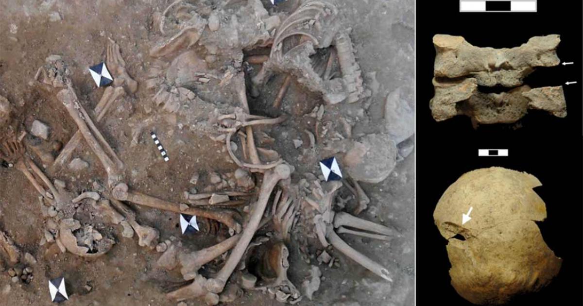 Excavations at Sidon Castle, Lebanon revealed two mass crusaders graves containing many skeletons that had clear signs of extreme violence, according to the latest research study in PLOS One. Source: Claude Doumet-Serhal / PLOS One