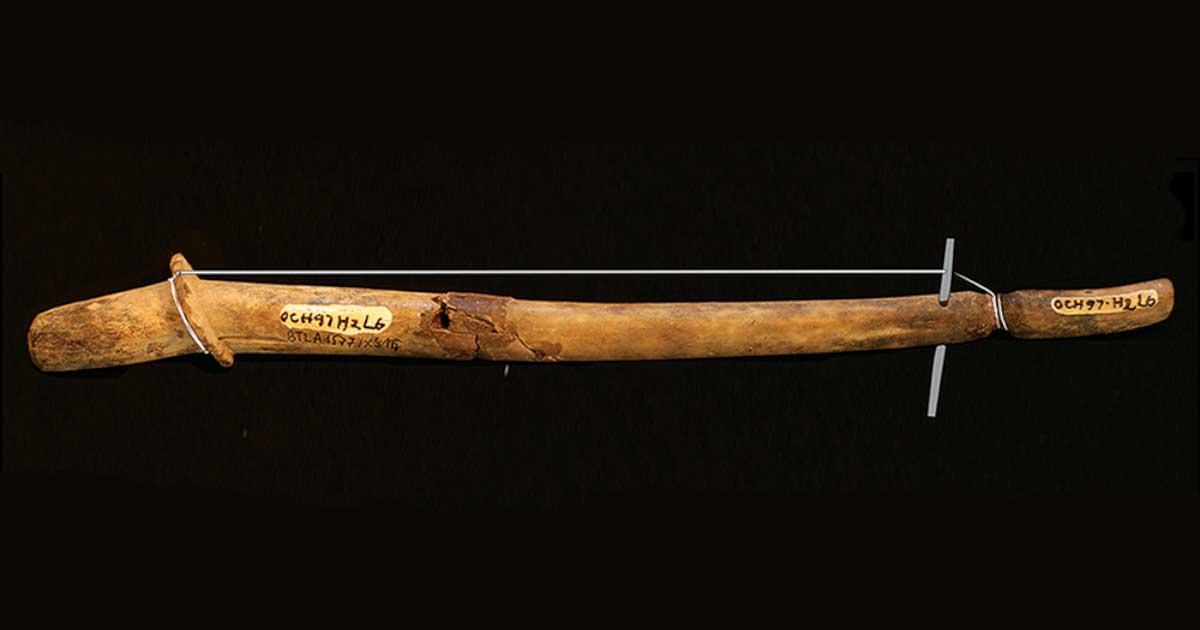 Ancient Deer Antler Instruments Discovered in Vietnam After 3,000 Years ...