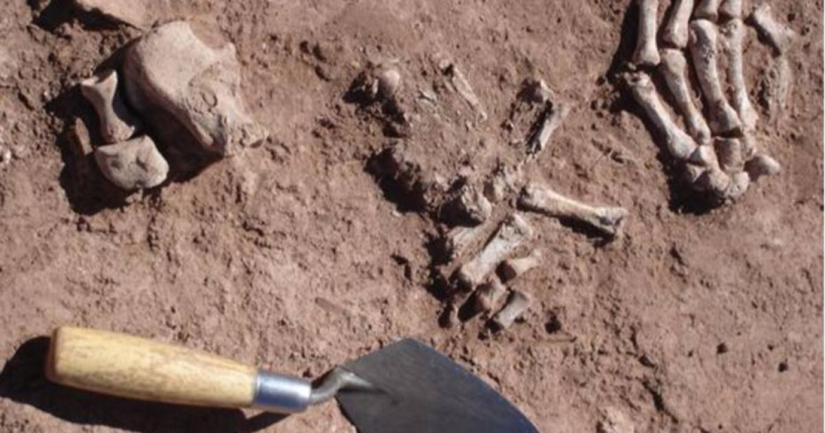 Defleshed human bones in ancient religious complex in Bolivia