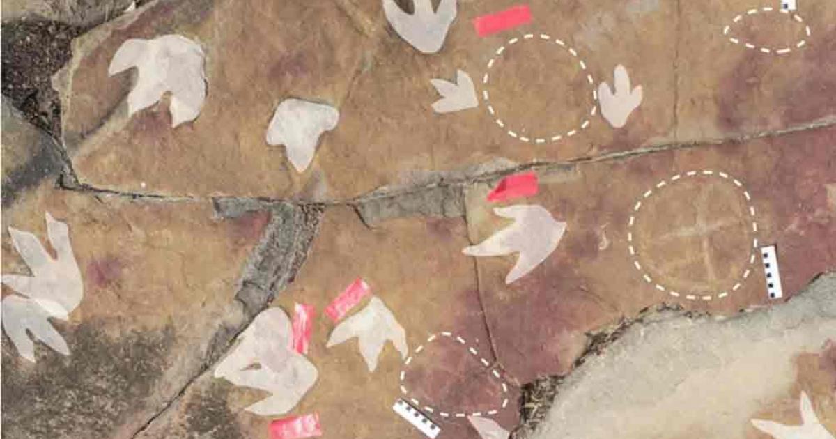 Dinosaur tracks in highlight and petroglyphs circled by dashed lines. Source: Troiano, et al., Scientific Reports 2024
