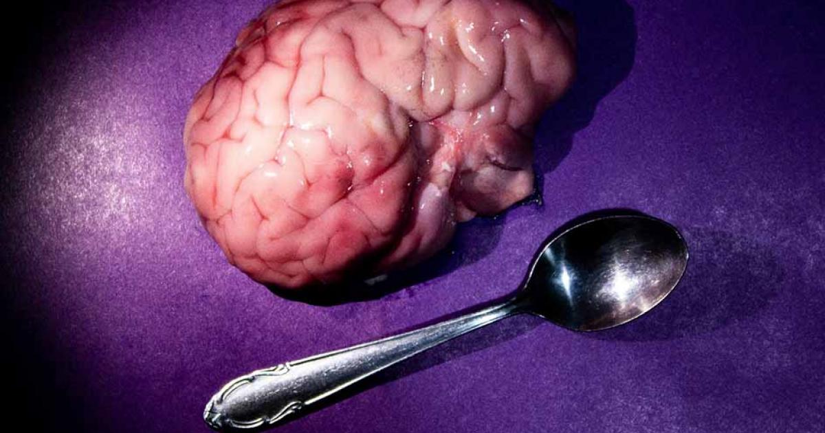 Taking ‘brain food’ literally – baked brains with roasted roses, another disgusting ancient food           Source: Dubnytskaya Photo / Adobe Stock