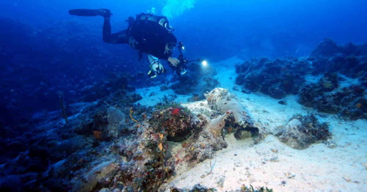 A diver exploring one of the wreck sites. 
