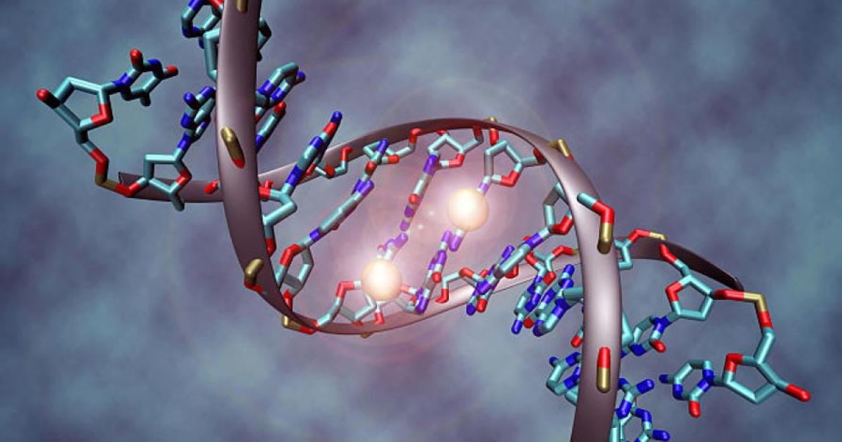 A DNA molecule that is methylated on both strands on the center cytosine. DNA methylation plays an important role for epigenetic gene regulation in development and cancer