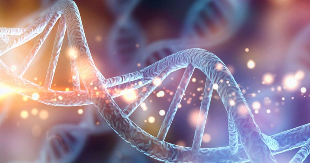 Neanderthal DNA might play a role in autism