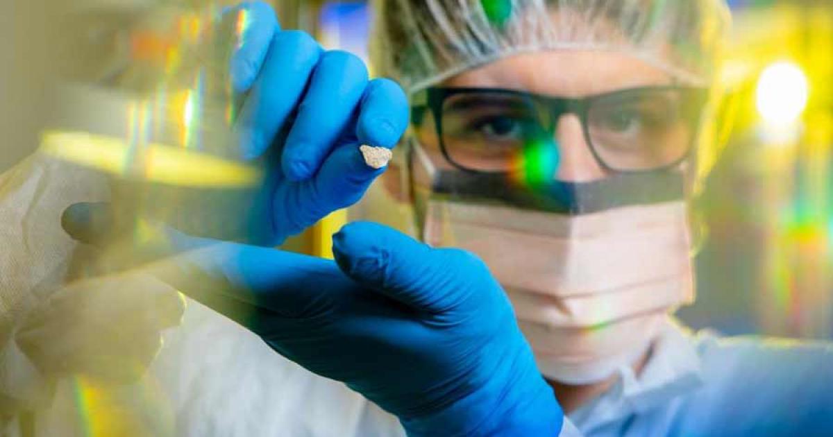 10,000-Year-Old Dog Bone Supports Theory of Coastal Route to the Americas