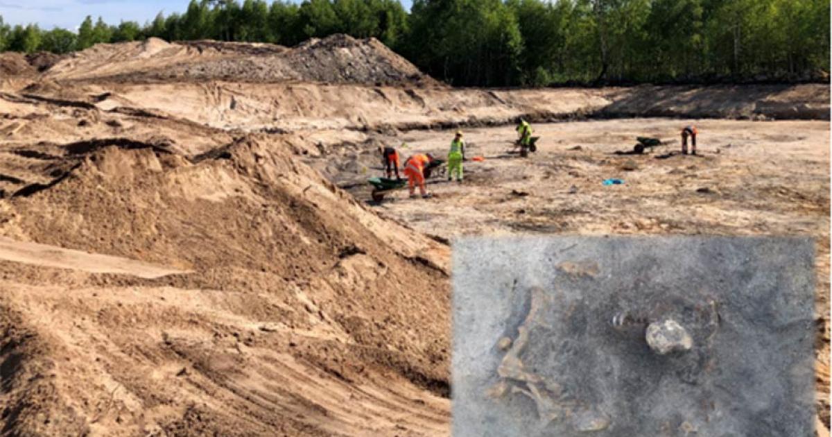 Respect For Canines Shown In Stone Age Dog Burial In Sweden