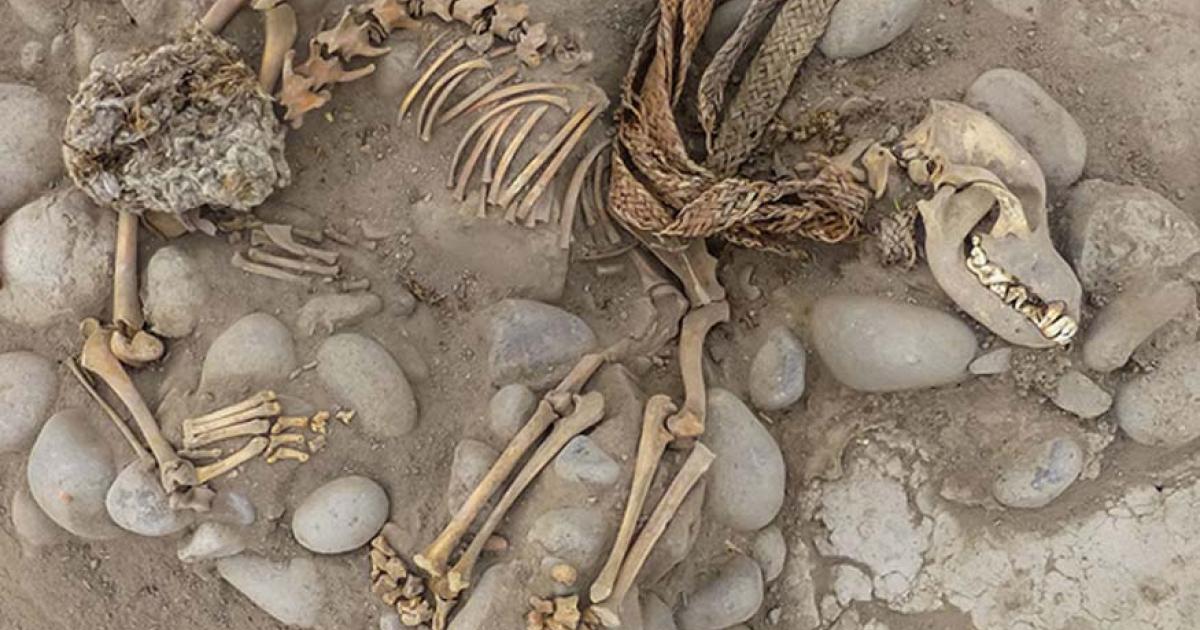 One of the dogs that was found buried with a human in what is now the Lima zoo. The zoo has underneath it layers of previous civilizations, as does much of Lima. 