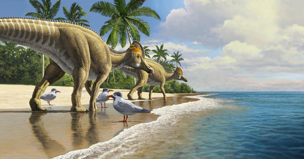 New Duckbill Dinosaur Evidence Shows That Dinosaurs Crossed Oceans