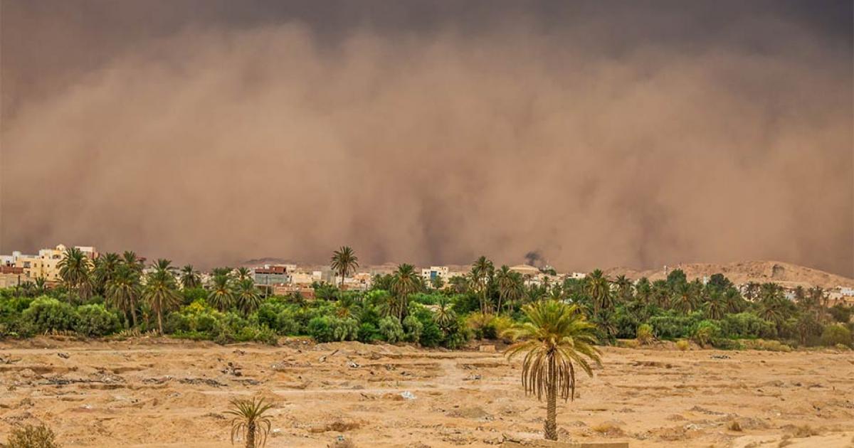 Dust deposits carried by the wind to other places created fertile soils in the Fertile Crescent.   Source: Lukasz Janyst / Adobe Stock