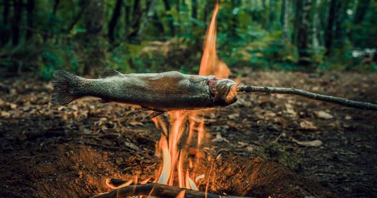 A small fish being cooked over a fire. Evidence of cooking fish has been found from 780,000 years ago.	Source: Nicolas VINCENT/Adobe Stock