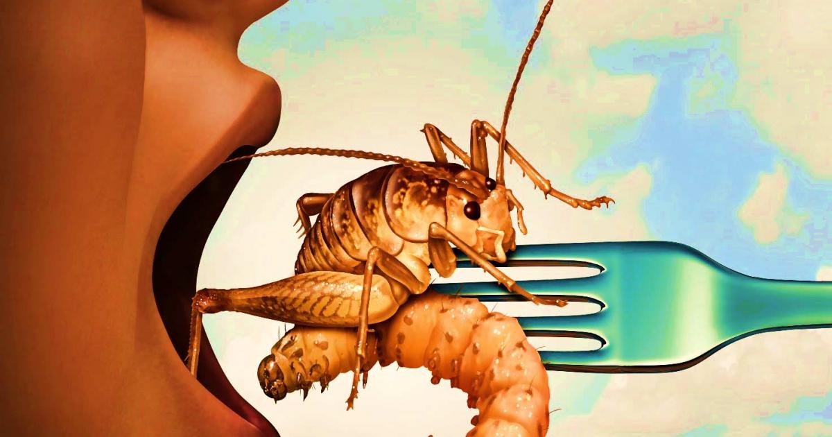 Eating insects goes back to the beginning of human time and continues today in more ways than you might think of. Source: freshidea / Adobe Stock