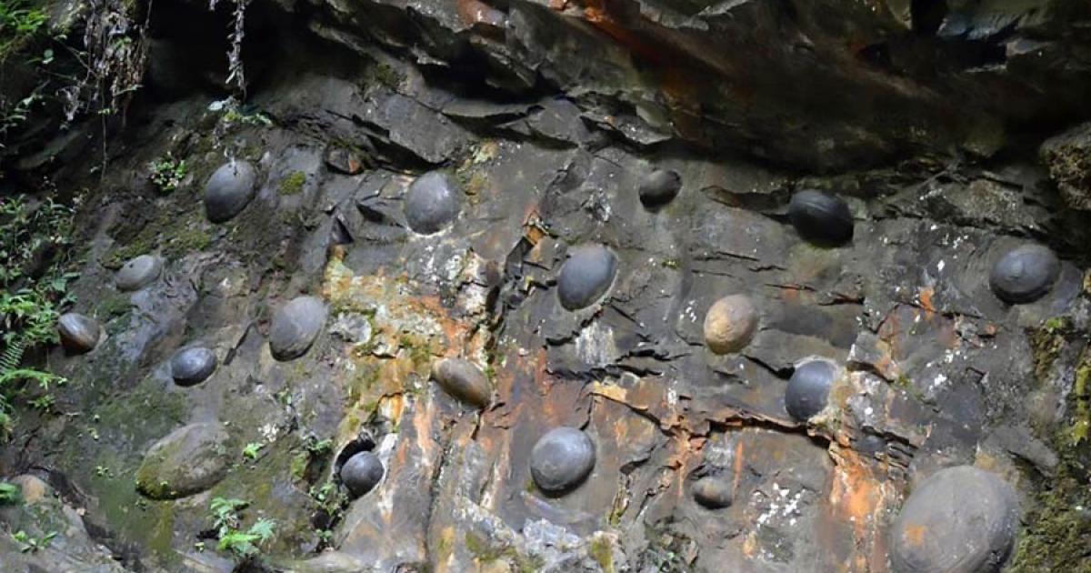 Eggs protruding from the side of the egg-laying mountain in China. Source: AsiaWire