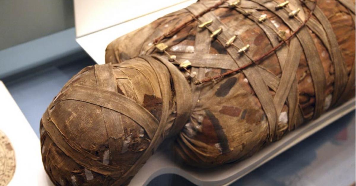 An Egyptian mummy