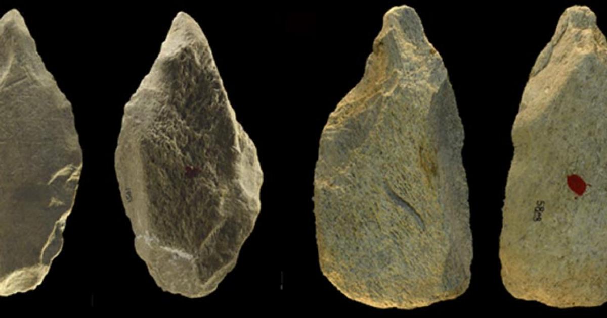 A closeup of a few of the 98 verified elephant bone tools found in Rome, Italy, which have been attributed to an archaic hominin species based on a recent study published in the Plos One journal.		Source: 	Plos One