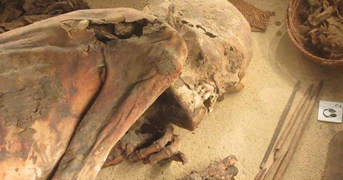 Turin Mummy, known as ‘Fred’, Egypt Museum of Turin.