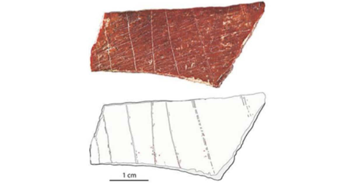 Photograph (top) and tracing (bottom) of an engraved human bone fragment found at Lingjing in China’s Henan Province. Source: Francesco d’Errico and Luc Doyon / Fair Use.