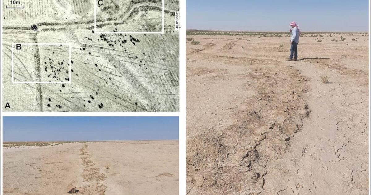 Drone images of two small canals taken in the Eridu region, verified by a ground-level examination.
